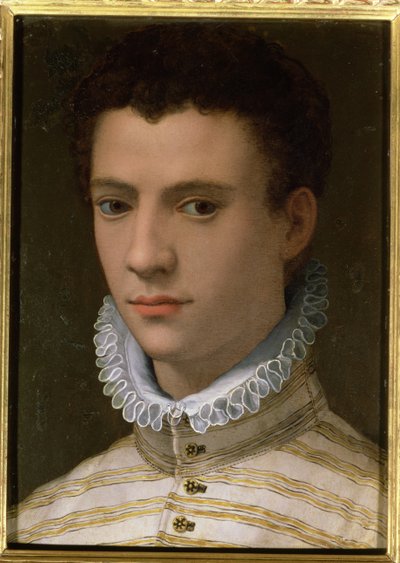 Ritratto di un giovane uomo da Agnolo Bronzino